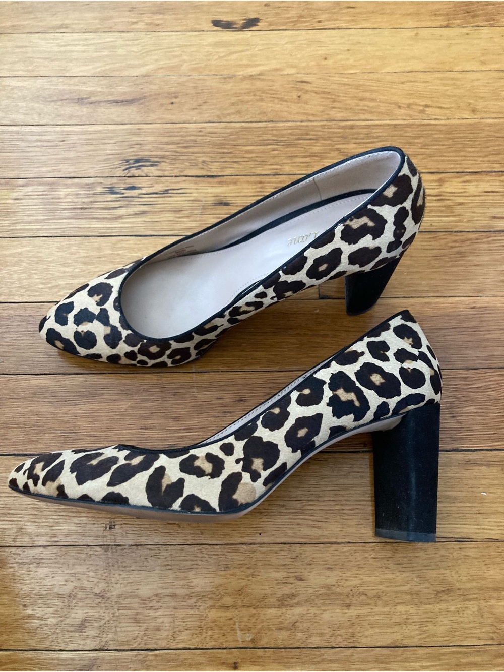 Leopard Print Block Heel Pumps